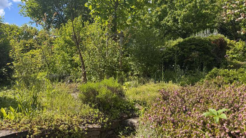 Ehrauberge – Garten