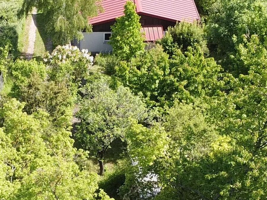 Ehrauberge – Luftbild Weinbergsidylle