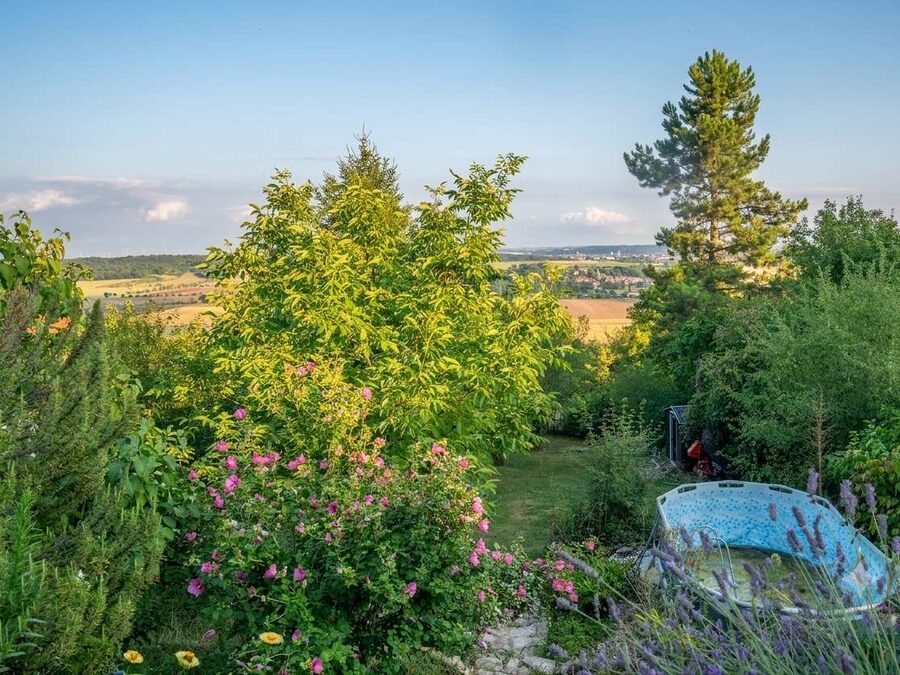 Wochenendhaus Ehrauberge – Blick in den Garten
